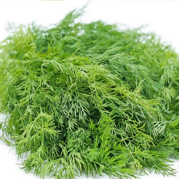 en
