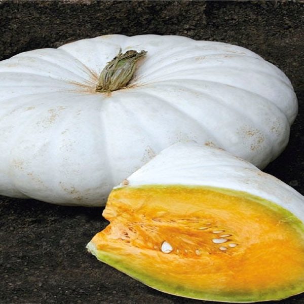 en